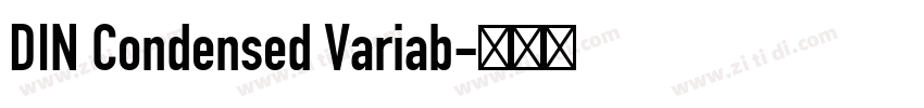 DIN Condensed Variab字体转换